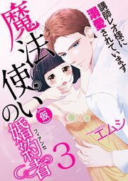 魔法使い（仮）の婚約者-講師レオ様に溺愛されています-(3)