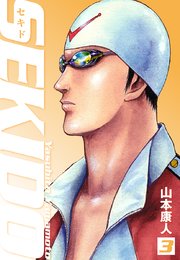 SEKIDO 3