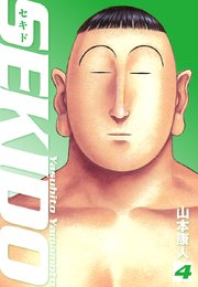 SEKIDO 4