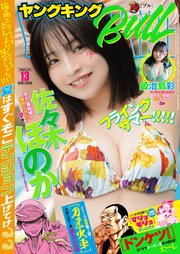 ヤングキングBULL 2025年13号