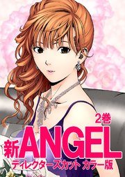 新ANGEL ディレクターズカット カラー版 2巻