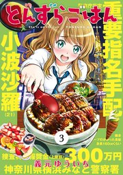 とんずらごはん（3）