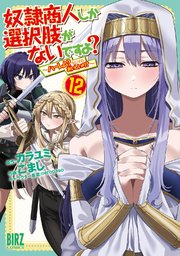 奴隷商人しか選択肢がないですよ?