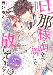 旦那様が朝から晩まで放してくれない～エッチで甘いワケあり婚!? 20巻