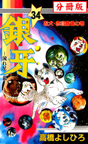 銀牙―流れ星 銀― 【分冊版】 34巻