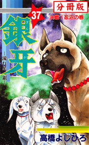 銀牙―流れ星 銀― 【分冊版】 37巻