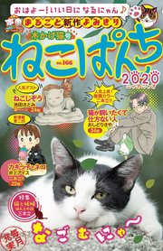 ねこぱんち No.166 木かげ猫号