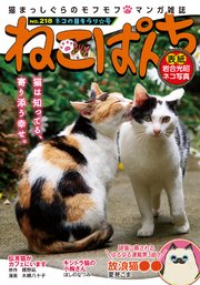 ねこぱんち