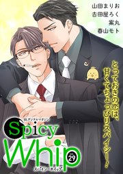 Spicy Whip vol.29