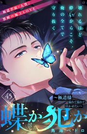 蝶か犯か ～極道様 溢れて溢れて泣かせたい～ 分冊版（45）