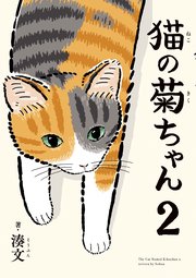 猫の菊ちゃん 2