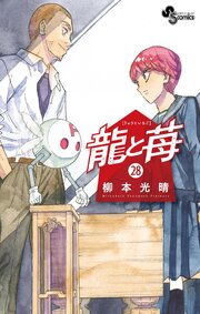龍と苺 28巻