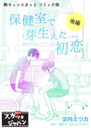 胸キュンスカッとコミック版～保健室で芽生えた初恋～ 後編