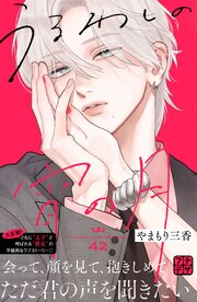 うるわしの宵の月　プチデザ（４２）