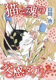 猫と魂の交感ダイアリー（6）