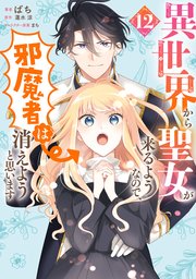 異世界から聖女が来るようなので、邪魔者は消えようと思います 12巻