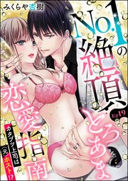 No.1の絶頂とろあま恋愛指南 カタブツ上司は（元）ホスト!?（分冊版） 【第19話】