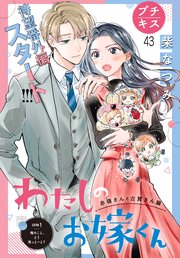 わたしのお嫁くん プチキス