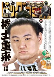 ビッグコミック