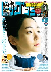 ビッグコミック