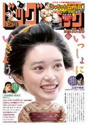 ビッグコミック