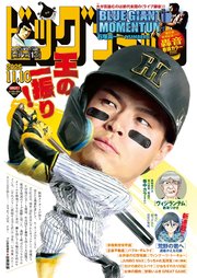 ビッグコミック