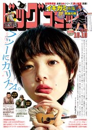 ビッグコミック