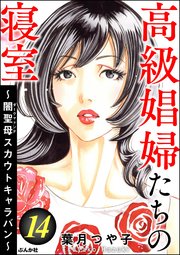 高級娼婦たちの寝室 ～闇聖母スカウトキャラバン～ （14）