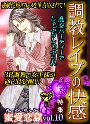 蜜愛恋獄Vol．10～特集／調教レイプの快感コレクション