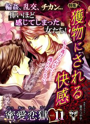 蜜愛恋獄Vol．11～特集／獲物にされる快感