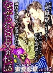 蜜愛恋獄Vol．12～特集／なぶられSEXの快感