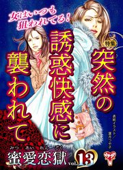蜜愛恋獄Vol．13～特集／突然の誘惑快感に襲われて