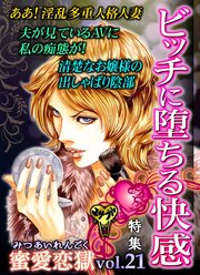 蜜愛恋獄Vol．21～特集／ビッチに堕ちる快感