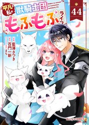 Berry’sFantasy平凡な私の獣騎士団もふもふライフ44巻