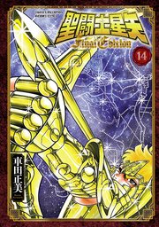 聖闘士星矢 Final Edition 14巻