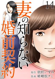 妻の知らない婚前契約（14）