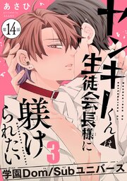 ヤンキーくんは生徒会長様に躾けられたい