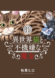 異世界猫と不機嫌な魔女【単話】 11