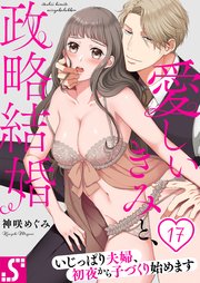 愛しいきみと、政略結婚～いじっぱり夫婦、初夜から子づくり始めます（17）