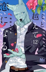 キミと越えて恋になる 単行本版 12【シーモア限定特典付き】