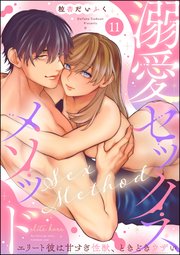 溺愛セックスメソッド エリート彼は甘すぎ性獣、ときどきウザい（分冊版） 【第11話】