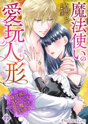 魔法使いの愛玩人形　異世界に落ちたOLは愛と魔力を注がれる 17