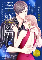 至極の男～もう一度愛される夜［comic tint］ 分冊版（17）