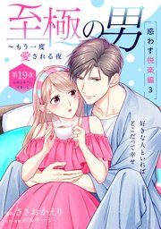 至極の男～もう一度愛される夜［comic tint］ 分冊版（19）
