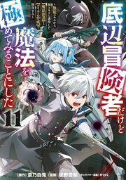 底辺冒険者だけど魔法を極めてみることにした　～無能スキルから神スキルに進化した【魔法創造】と【アイテム作成】で無双する～（１１）