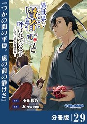 異世界で『賢者……の石』と呼ばれています【分冊版】（ポルカコミックス）29