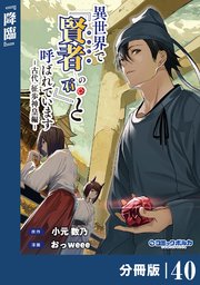 異世界で『賢者……の石』と呼ばれています【分冊版】
