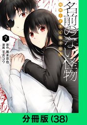 名前のない怪物 蜘蛛と少女と猟奇殺人【分冊版（38）】