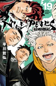 ナインピークス NINE PEAKS 19巻