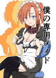 僕の専用メイド3